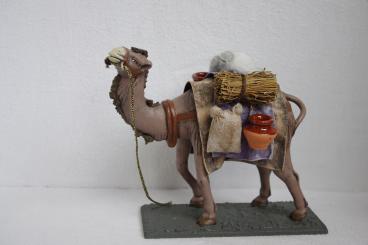 Kamel mit Gepäck 