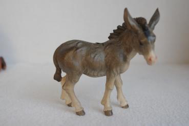 Esel stehend, lockig 