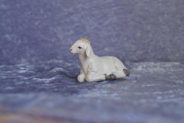 Liegendes Schaf, links schauend 