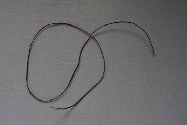 Leuchtdiode am Kabel, 12 Volt 