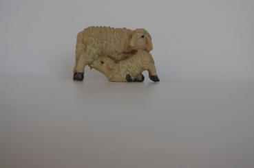 Mutterschaf mit Lamm 