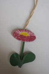 Rotes Gänseblümchen 