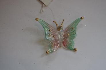 Glasschmetterling 