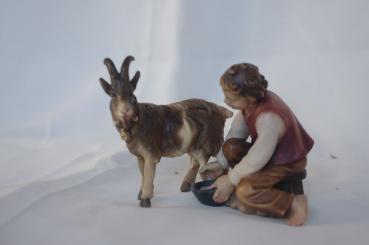 Junge, Ziegen melkend 