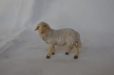 Schaf links schauend 