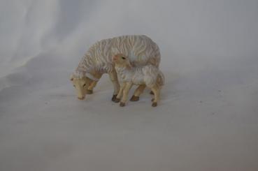 Schaf fressend mit Lamm 