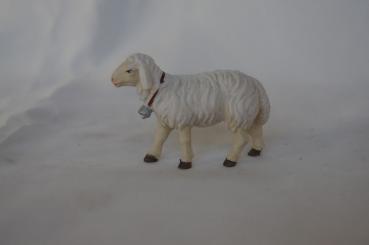 Schaf gehend mit Glöckchen 