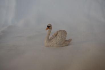 Schwan 