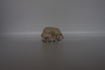 Schaf fressend mit Lamm 