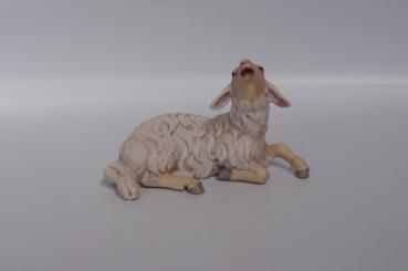 Schaf liegend, blökend 