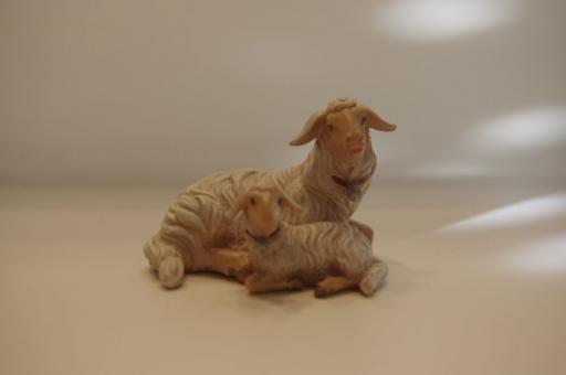 Schaf liegend mit Lamm 
