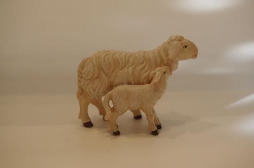 Schafgruppe stehend mit Lamm 