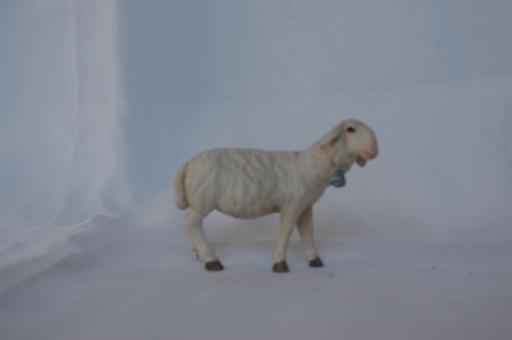 Schaf stehend mit Glöckchen 
