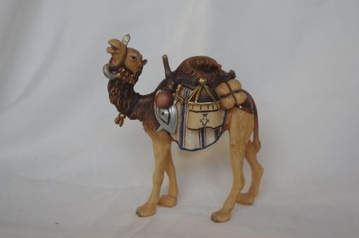 Kamel mit Gepäck 