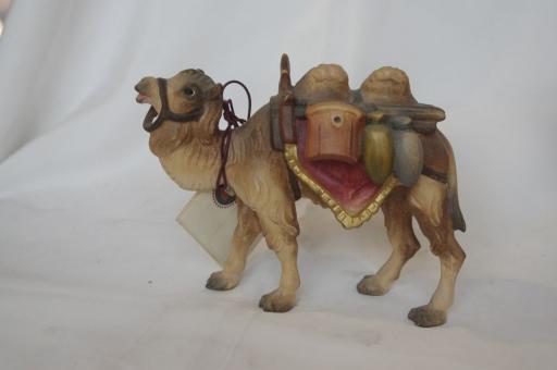Kamel, zweihöckerig mit Last 