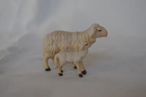 Schaf stehend mit Lamm 