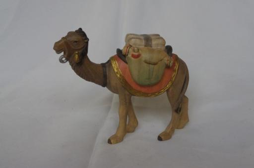 Kamel mit Gepäck 