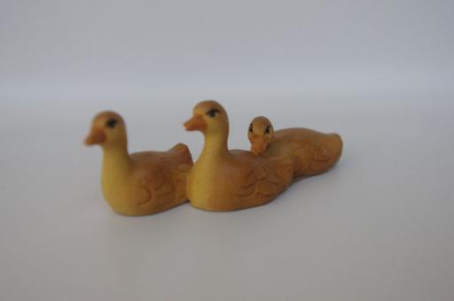 3 schwimmende Küken 